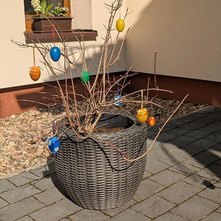 Apartment Avila , Stadtmitte